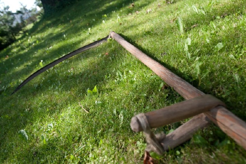 На Міжгірщині п’яний чоловік "скосив" рідного брата На Міжгірщині п’яний чоловік "скосив" рідного брата