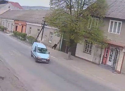 У Великому Бичкові сталась моторошна смертельна ДТП: хлопця відкинуло на кілька метрів У Великому Бичкові сталась моторошна смертельна ДТП: хлопця відкинуло на кілька метрів