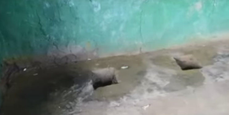 Журналісти показали жах шкільного туалету, в який провалилась школярка Журналісти показали жах шкільного туалету, в який провалилась школярка