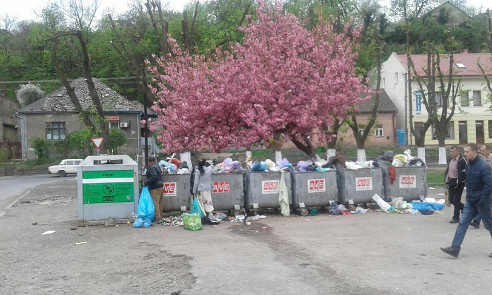 На "Перечинському" автовокзалі в Ужгороді над сміттєвими баками зацвіла сакура На "Перечинському" автовокзалі в Ужгороді над сміттєвими баками зацвіла сакура