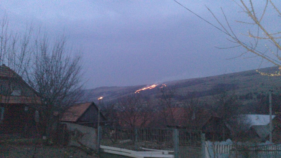 На Воловеччині горів гектар молодих садженців На Воловеччині горів гектар молодих садженців