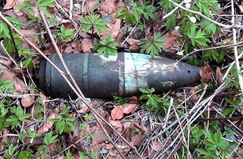 На Ужгородщині закарпатські піротехніки знешкодили 3 боєприпаси часів Другої світової війни На Ужгородщині закарпатські піротехніки знешкодили 3 боєприпаси часів Другої світової війни