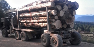 Рахівські поліцейські затримали 60 кубів "лівого" лісу Рахівські поліцейські затримали 60 кубів "лівого" лісу