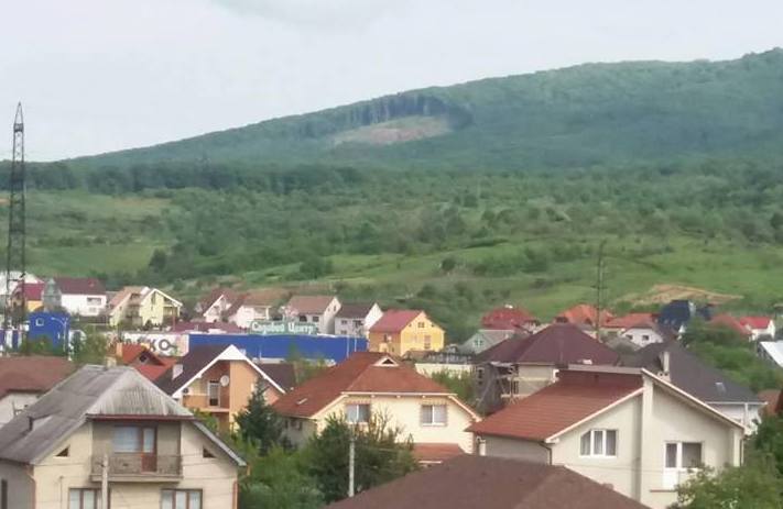 Люди обурені вирізкою дерев на Червоній горі біля Мукачева Люди обурені вирізкою дерев на Червоній горі біля Мукачева