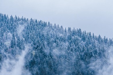 ФОТО: Сергій Гудак На Міжгірщині Синевирський перевал вкрило снігом