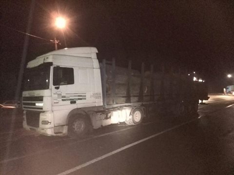 Черговий кругляк не пропустили патрульні Закарпаття Черговий кругляк не пропустили патрульні Закарпаття