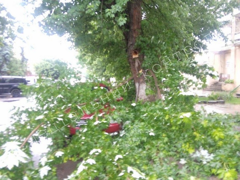 В Ужгороді на автомобіль впала гілка з дерева В Ужгороді на автомобіль впала гілка з дерева