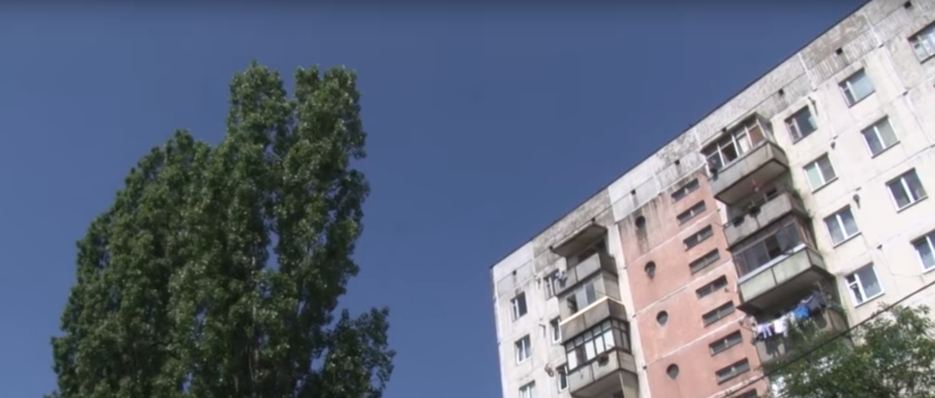Мешканці ужгородських багатоповерхівок скаржаться на тополі, коріння яких руйнують покриття та комунікації Мешканці ужгородських багатоповерхівок скаржаться на тополі, коріння яких руйнують покриття та комунікації