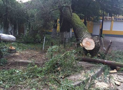 Рятувальники показали наслідки негоди у Хусті Рятувальники показали наслідки негоди у Хусті