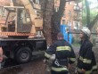 В Ужгороді завершили більшу частину робіт із ліквідації наслідків буревію В Ужгороді завершили більшу частину робіт із ліквідації наслідків буревію