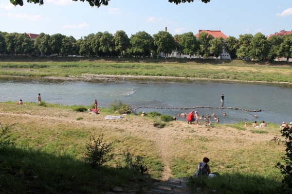 В Ужгороді немає жодного облаштованого місця для плавання В Ужгороді немає жодного облаштованого місця для плавання