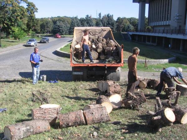 На місці зрізаних дерев біля Закарпатського драмтеатру власник території планує облаштувати парковку На місці зрізаних дерев біля Закарпатського драмтеатру власник території планує облаштувати парковку