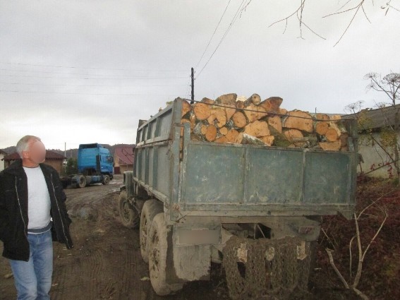 Правоохоронці затримали чоловіка, який нищив ліс: допоміг дзвінок у поліцію небайдужого громадянина Правоохоронці затримали чоловіка, який нищив ліс: допоміг дзвінок у поліцію небайдужого громадянина