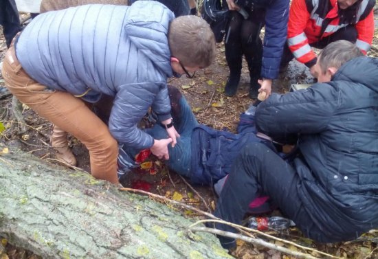 Біля однієї зі шкіл Ужгорода дерево впало на дівчинку Біля однієї зі шкіл Ужгорода дерево впало на дівчинку