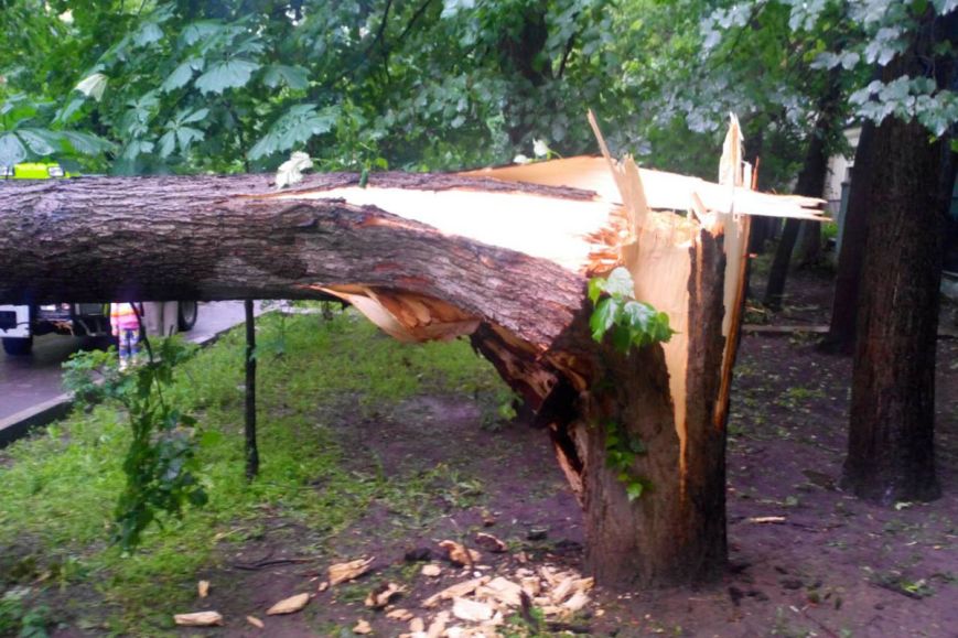 В Ужгороді прооперували 12-річну школярку, на яку сьогодні впало дерево В Ужгороді прооперували 12-річну школярку, на яку сьогодні впало дерево