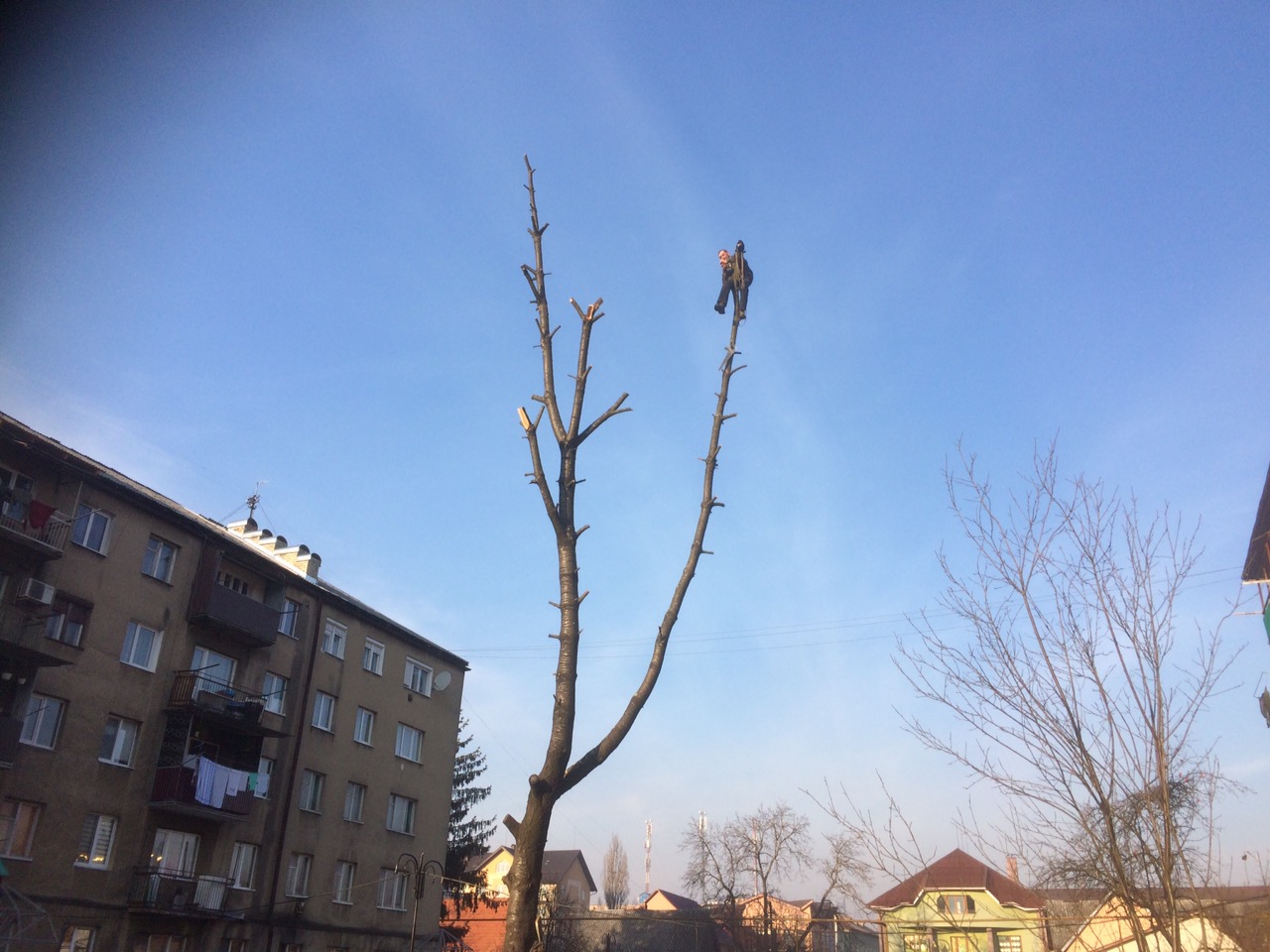 Тячівські рятувальники допомогли місцевому мешканцю спуститися з 15-метрового дерева Тячівські рятувальники допомогли місцевому мешканцю спуститися з 15-метрового дерева