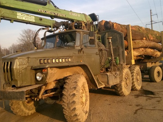 Поліція затримала водія, який перевозив повний "Урал" деревини із сумнівною накладною Поліція затримала водія, який перевозив повний "Урал" деревини із сумнівною накладною