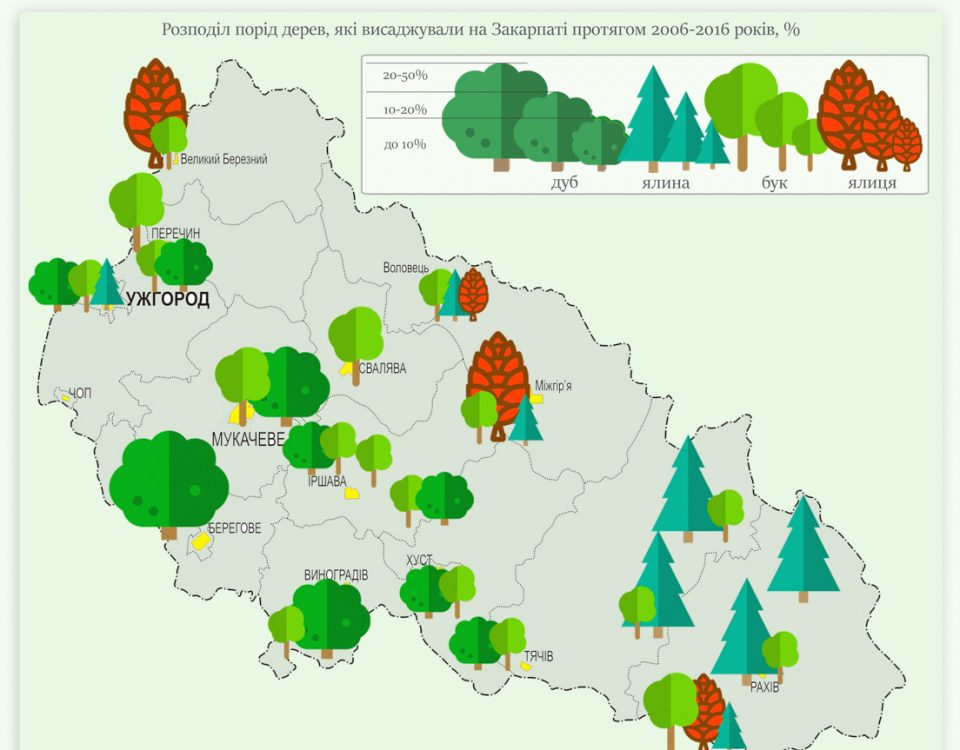 Як на Закарпатті відновлюють ліс Як на Закарпатті відновлюють ліс