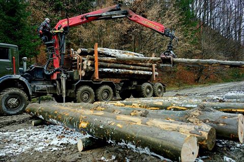 Сучасні технології дісталися лісів Рахівщини Сучасні технології дісталися лісів Рахівщини