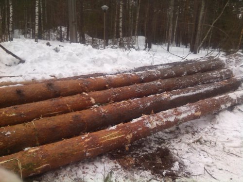 На Міжгірщині правоохоронці затримали вантажівку з "лівим" лісом На Міжгірщині правоохоронці затримали вантажівку з "лівим" лісом