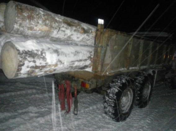 Поліція затримала вантажівку з "кругляком" Поліція затримала вантажівку з "кругляком"