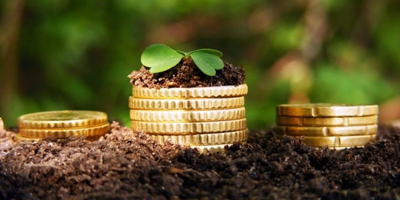 Підприємець взяв в оренду землю вартість 18 мільйонів для сінокосіння, а насправді "викачує" з неї природні багатства Підприємець взяв в оренду землю вартість 18 мільйонів для сінокосіння, а насправді "викачує" з неї природні багатства