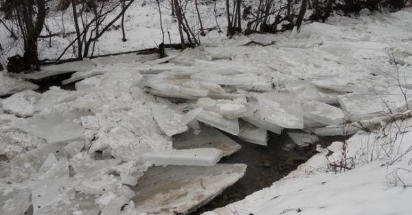Вода в Латориці поблизу Чопа піднялася до 5 метрів: загрози підтоплень немає Вода в Латориці поблизу Чопа піднялася до 5 метрів: загрози підтоплень немає