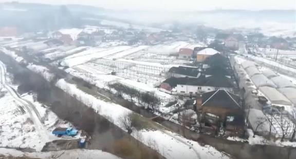 На Закарпатті 20% площ, засаджених озиминою, підтопило На Закарпатті 20% площ, засаджених озиминою, підтопило
