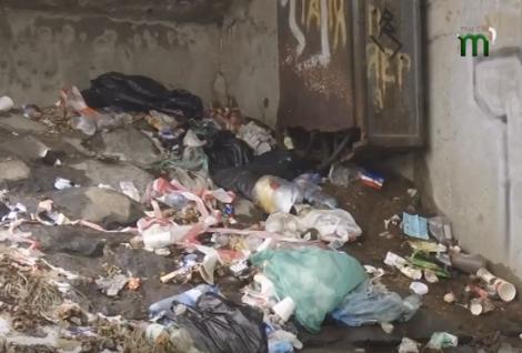 У центрі Ужгорода утворилось стихійне сміттєзвалище У центрі Ужгорода утворилось стихійне сміттєзвалище