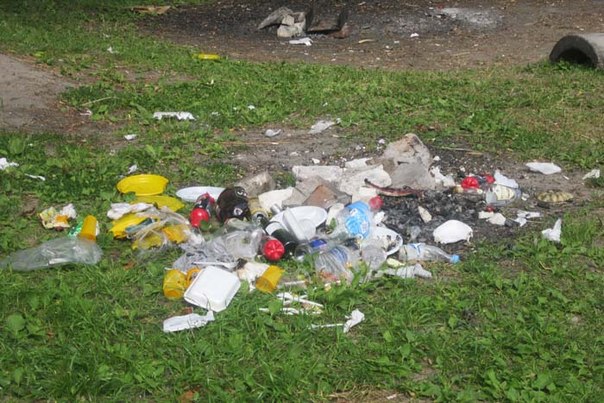 Держекоінспекція почала штрафувати закарпатських держслужбовців за сміття