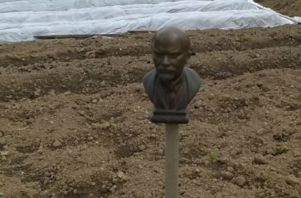 Ужгородець зробив із бюсту Леніна опудало для відлякування птахів Ужгородець зробив із бюсту Леніна опудало для відлякування птахів