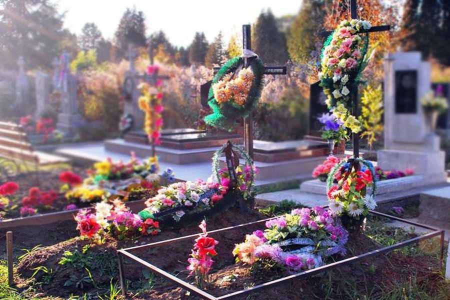 У Мукачівській греко-католицькій єпархії розповіли, які квіти не варто приносити на кладовище У Мукачівській греко-католицькій єпархії розповіли, які квіти не варто приносити на кладовище