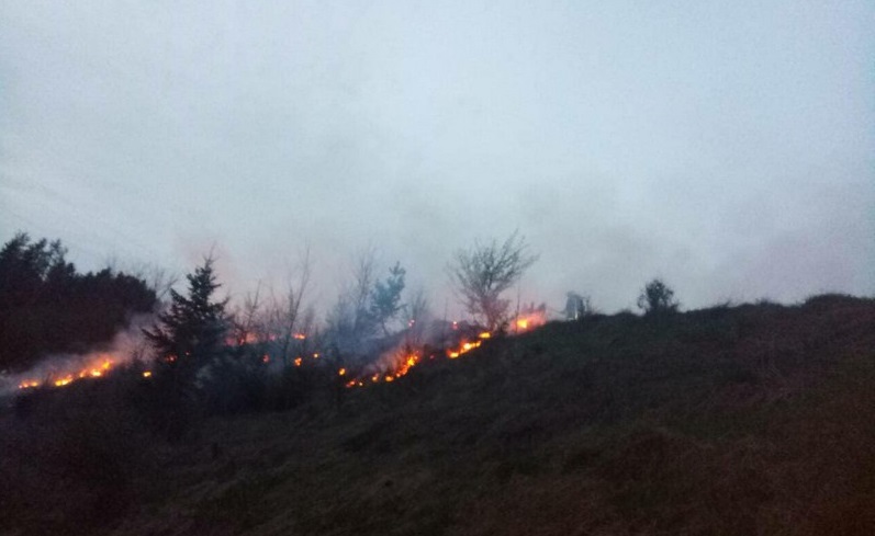 Впродовж доби рятувальники 5 разів гасили пожежі на відкритих територіях Впродовж доби рятувальники 5 разів гасили пожежі на відкритих територіях