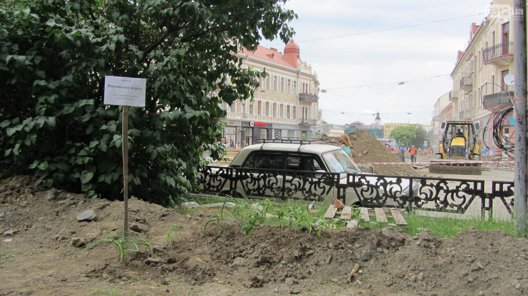 "Варишська керта": на площі Петефі в Ужгороді висадили помідори та цибулю "Варишська керта": на площі Петефі в Ужгороді висадили помідори та цибулю