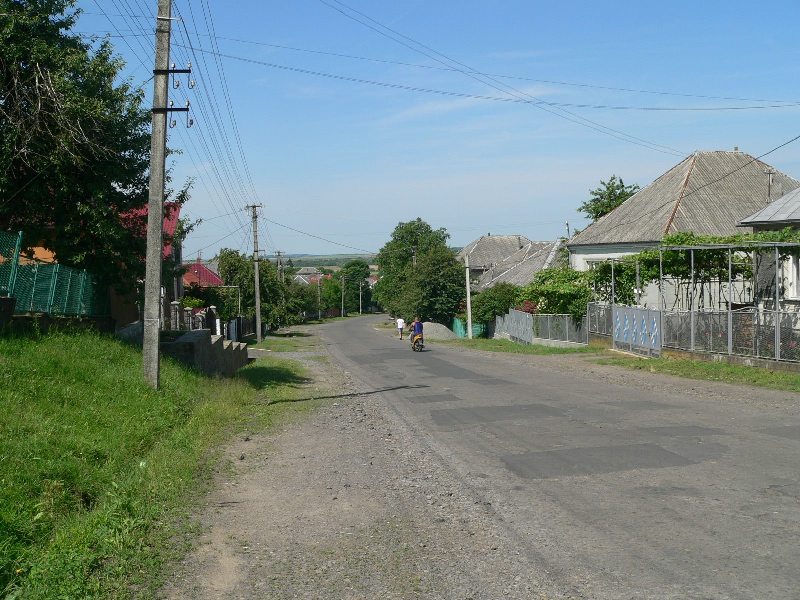 Ремонт дороги та нестача питної води: на Мукачівщині обговорили проблеми села Залужжя Ремонт дороги та нестача питної води: на Мукачівщині обговорили проблеми села Залужжя
