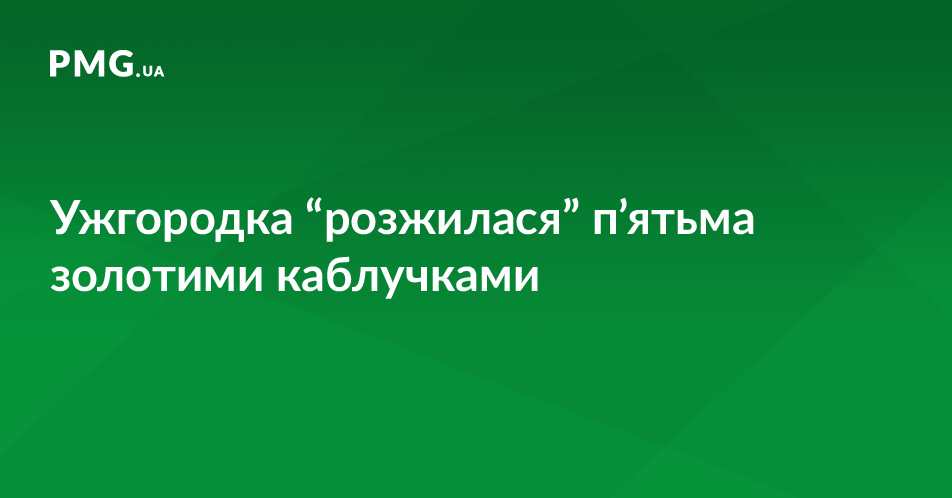 Раніше судима ужгородка обчистила будинок мукачівців Раніше судима ужгородка обчистила будинок мукачівців