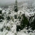 На гірськолижному курорті Драгобрат випав сніг