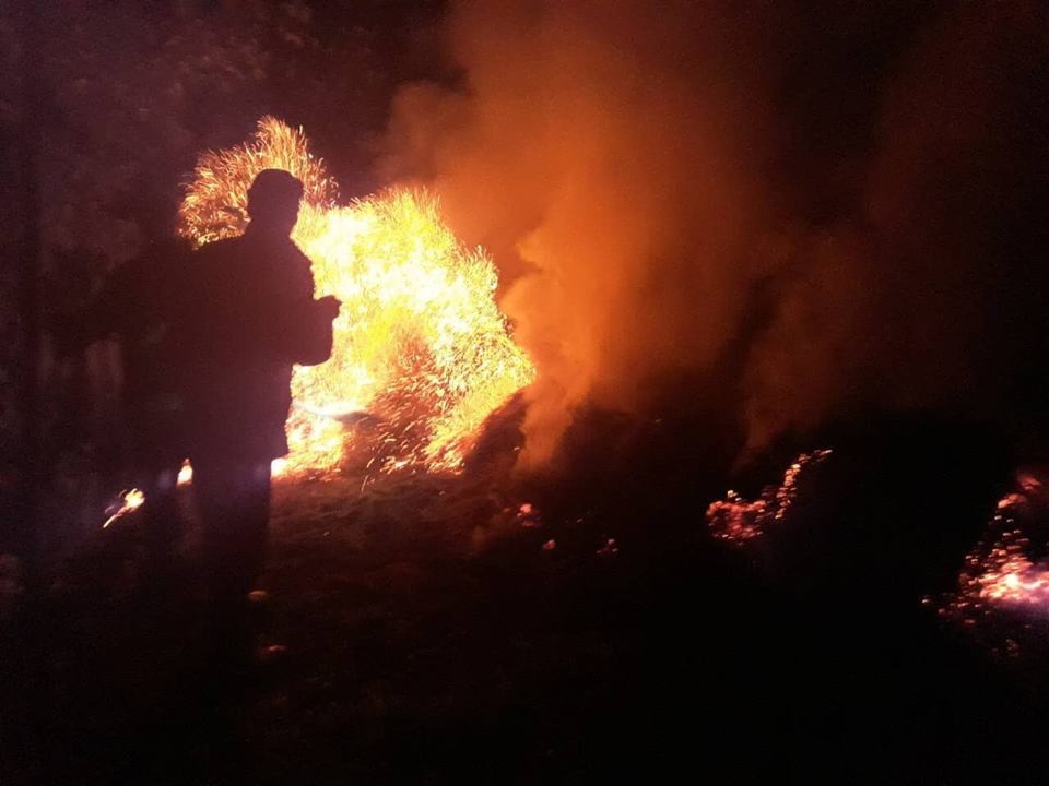 Вночі згоріла тонна сіна Вночі згоріла тонна сіна