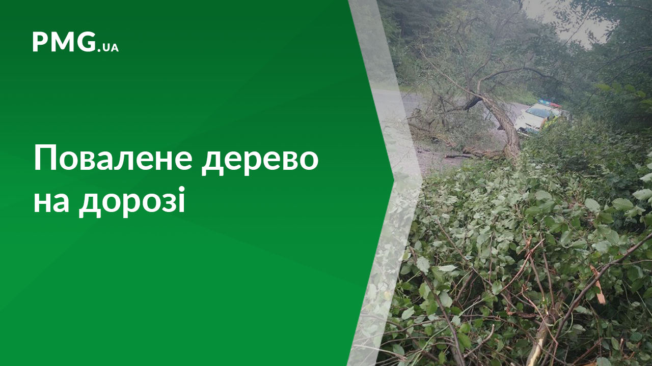 На Іршавщині на дорогу впало дерево На Іршавщині на дорогу впало дерево