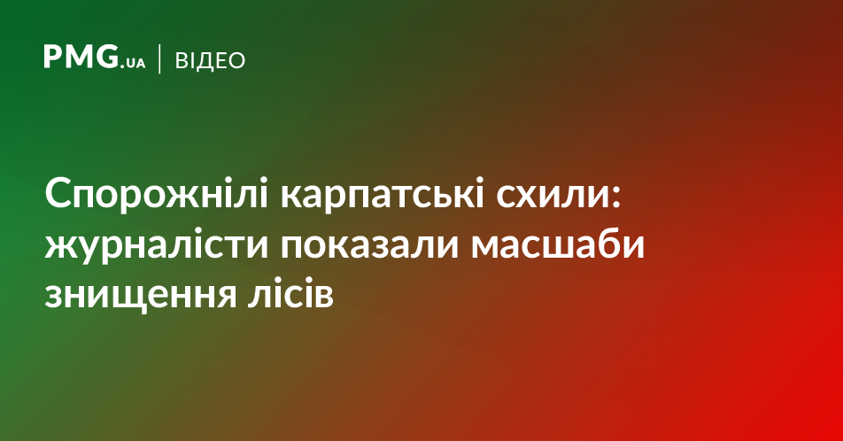 Закарпатські ліси продовжують нещадно рубати: журналісти показали масштаби проблеми Закарпатські ліси продовжують нещадно рубати: журналісти показали масштаби проблеми