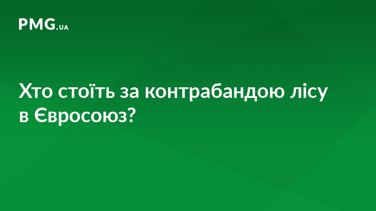 Москаль розповів, хто стоїть за контрабандою лісу в Євросоюз Москаль розповів, хто стоїть за контрабандою лісу в Євросоюз