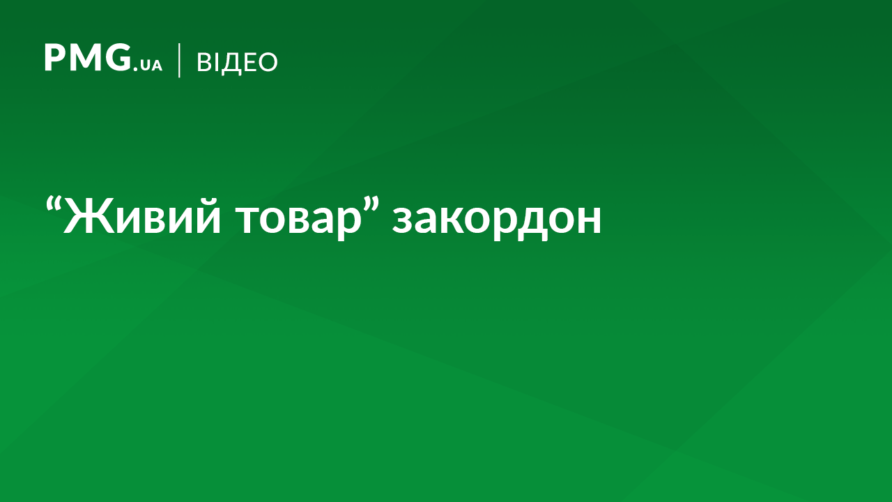Для закарпатців довгоочікувана робота за кордоном може обернутись трагедією Для закарпатців довгоочікувана робота за кордоном може обернутись трагедією