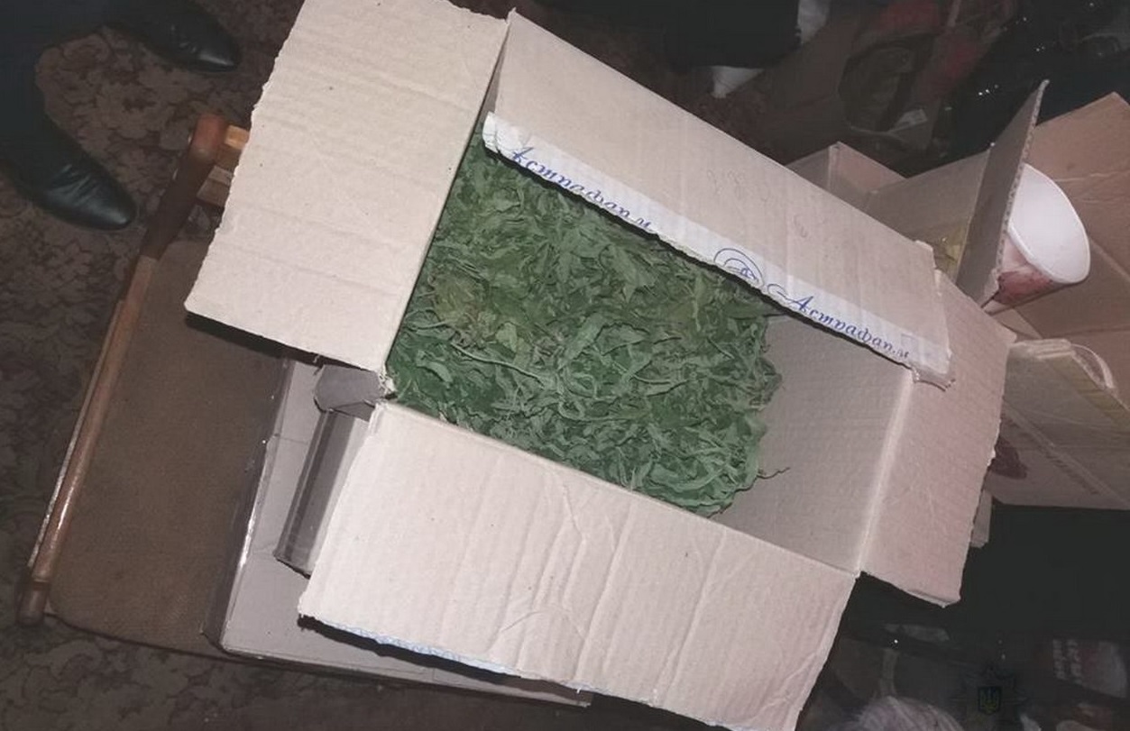 Під час обшуку у будинку знайшли марихуану Під час обшуку у будинку знайшли марихуану