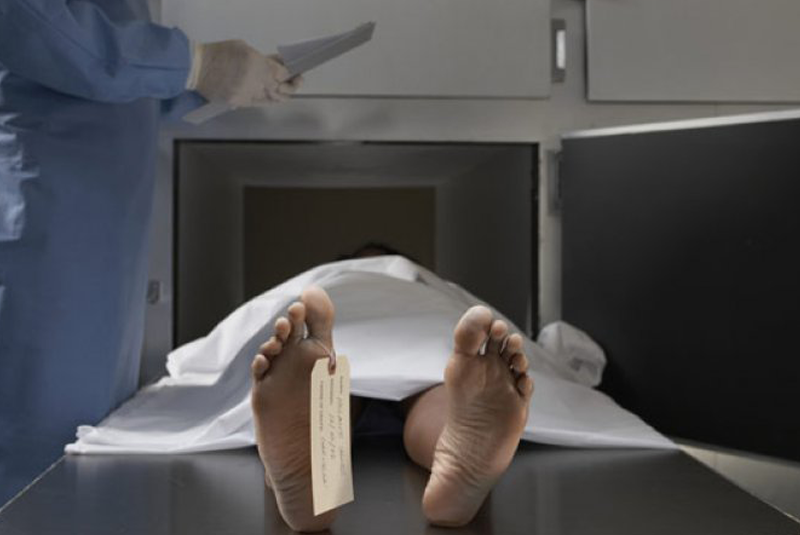 Трагедія у Мукачеві: знайшли одразу два трупи Трагедія у Мукачеві: знайшли одразу два трупи