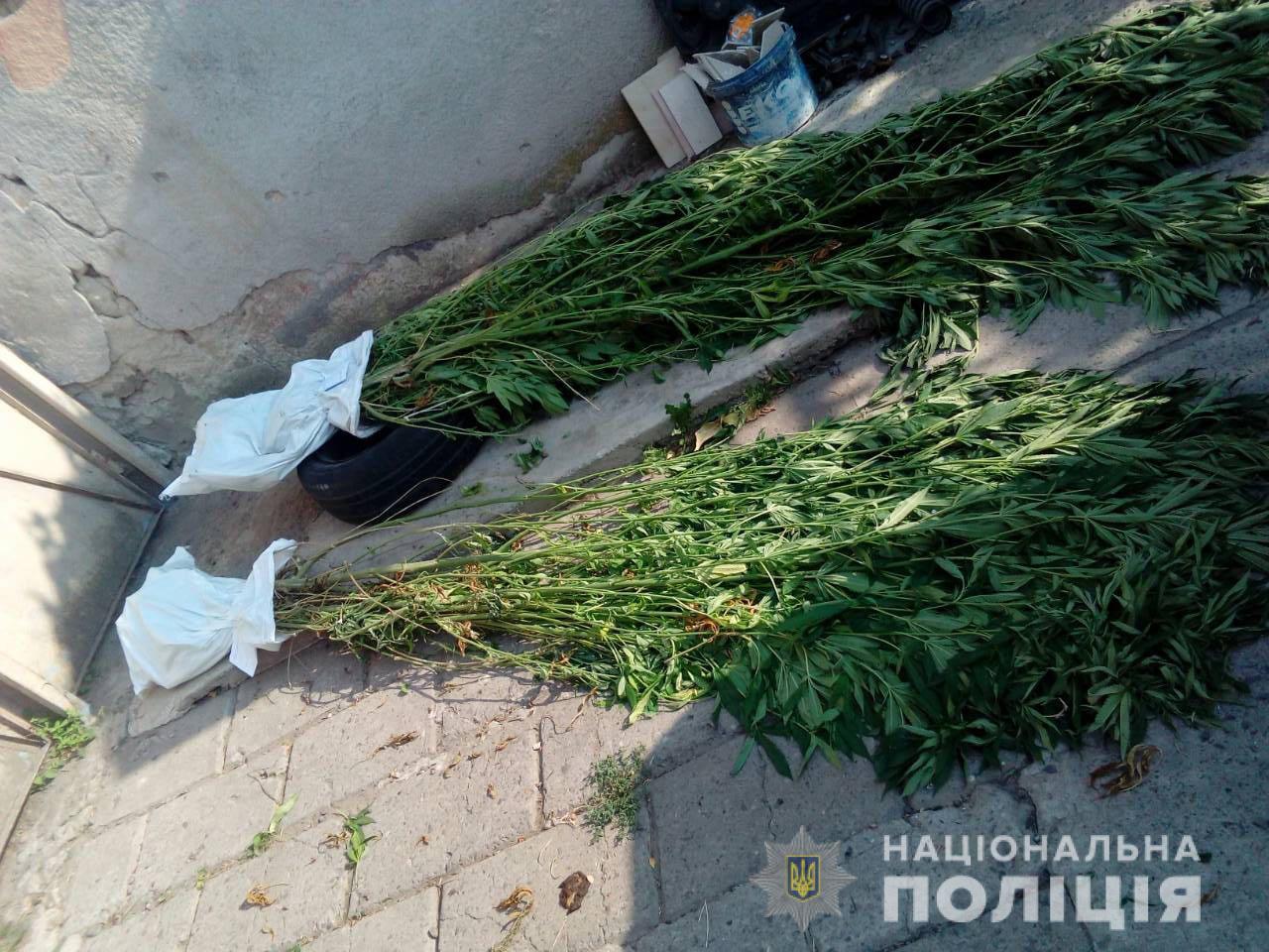 Мукачівець скоїв правопорушення: поліція розповіла подробиці Мукачівець скоїв правопорушення: поліція розповіла подробиці