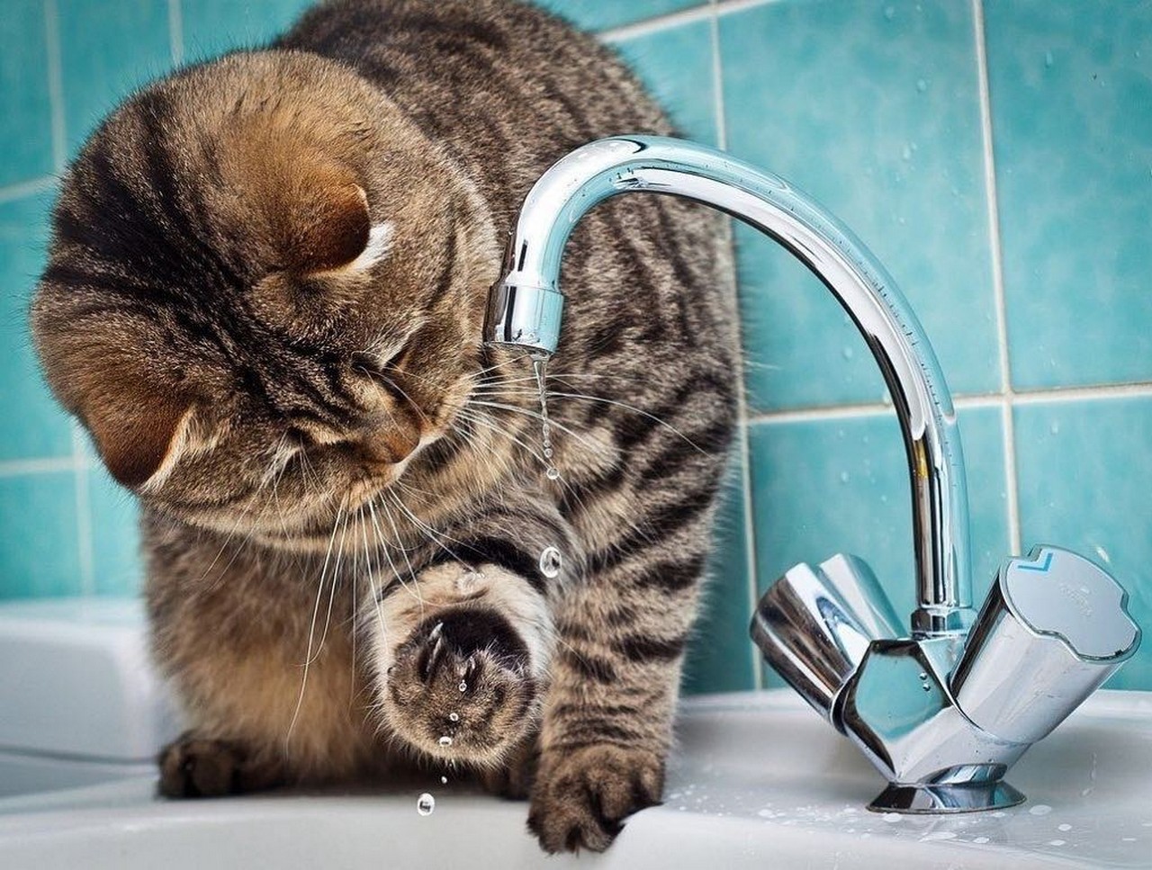 Один із мікрорайонів Мукачева сьогодні буде без води Один із мікрорайонів Мукачева сьогодні буде без води