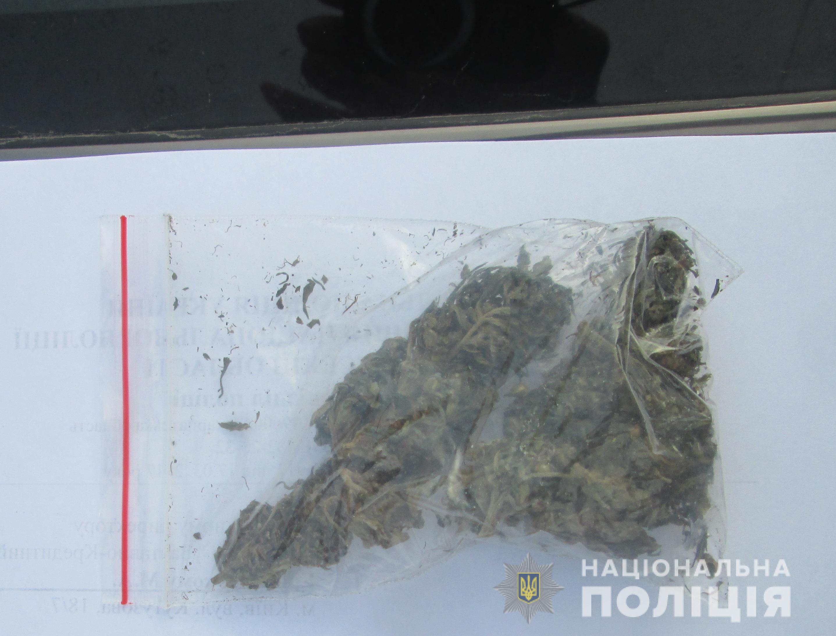 Поліцейські знайшли в машині закарпатця марихуану Поліцейські знайшли в машині закарпатця марихуану
