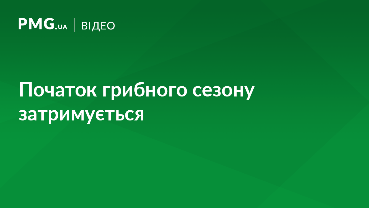 На Закарпатті затримується початок грибного сезону На Закарпатті затримується початок грибного сезону