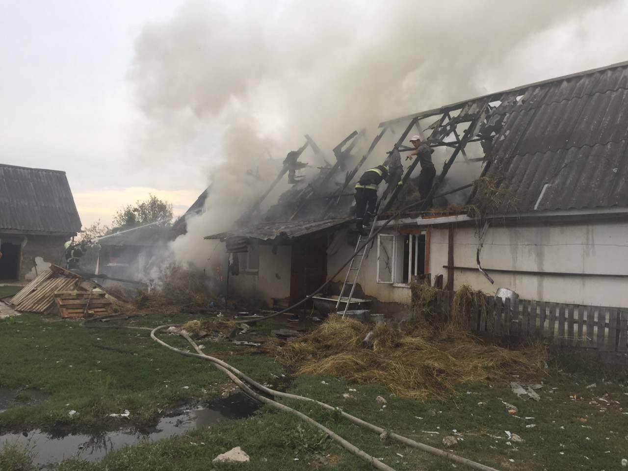Рятувальники гасили пожежу у житловому будинку Рятувальники гасили пожежу у житловому будинку