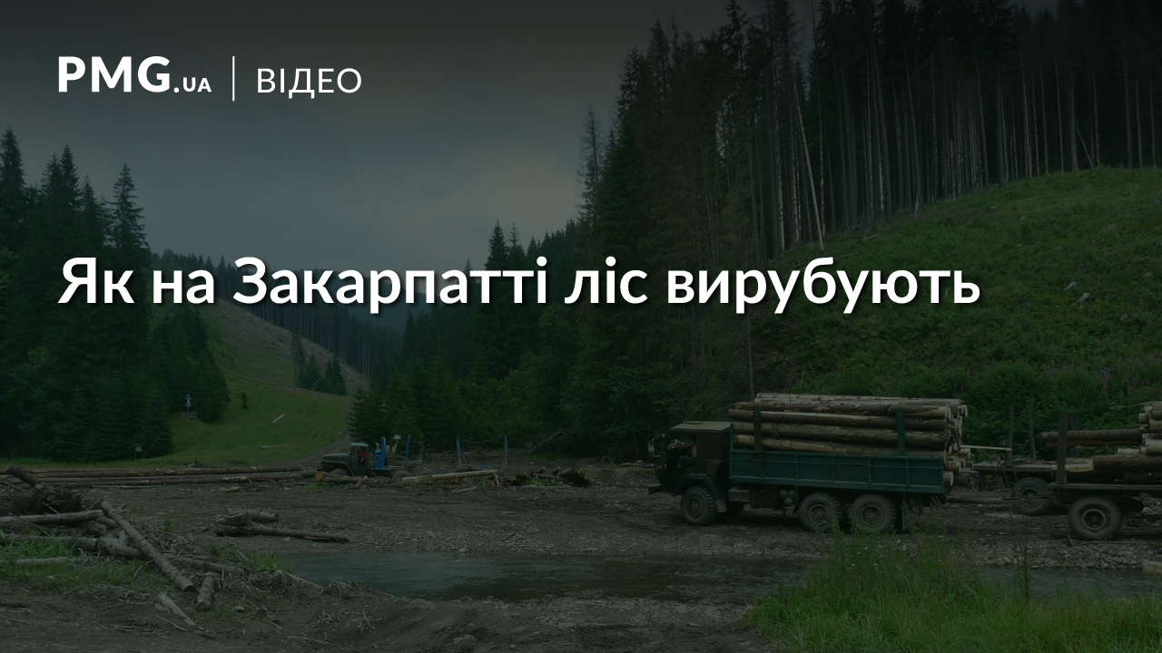 У "ТСН" розповіли про "лісових піратів" на Закарпатті та показали шокуючі кадри вирубок У "ТСН" розповіли про "лісових піратів" на Закарпатті та показали шокуючі кадри вирубок
